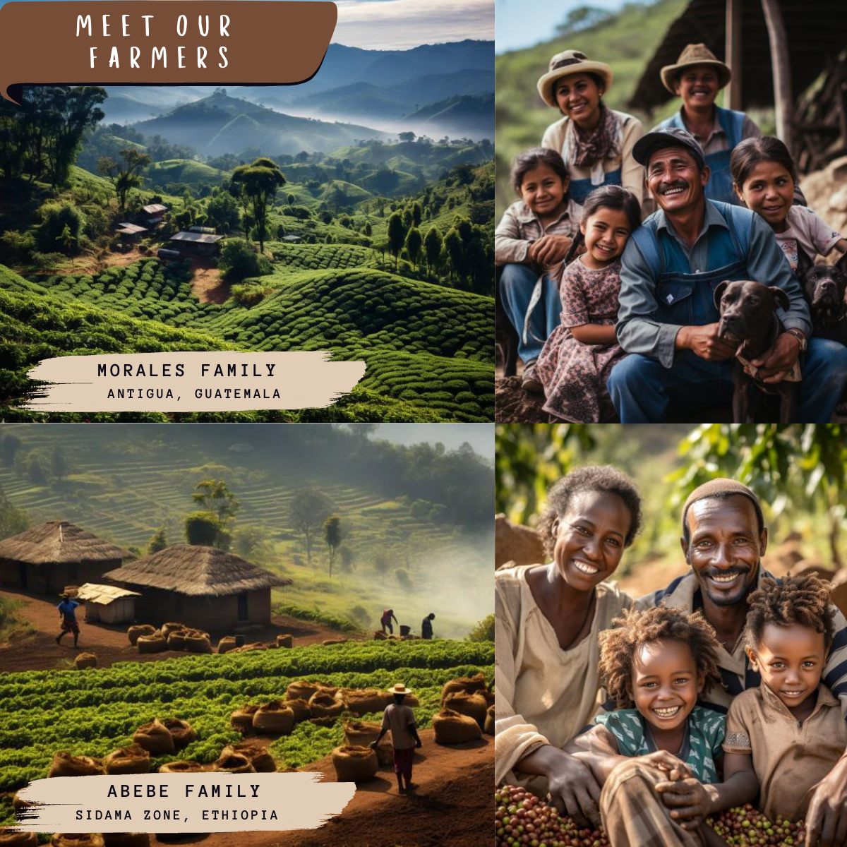 Blends & Flavored Rotation