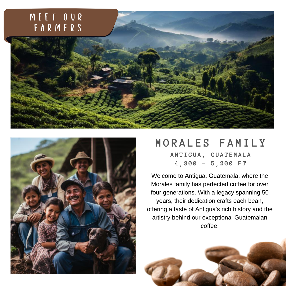 Tennessee Whiskey Aged ↺